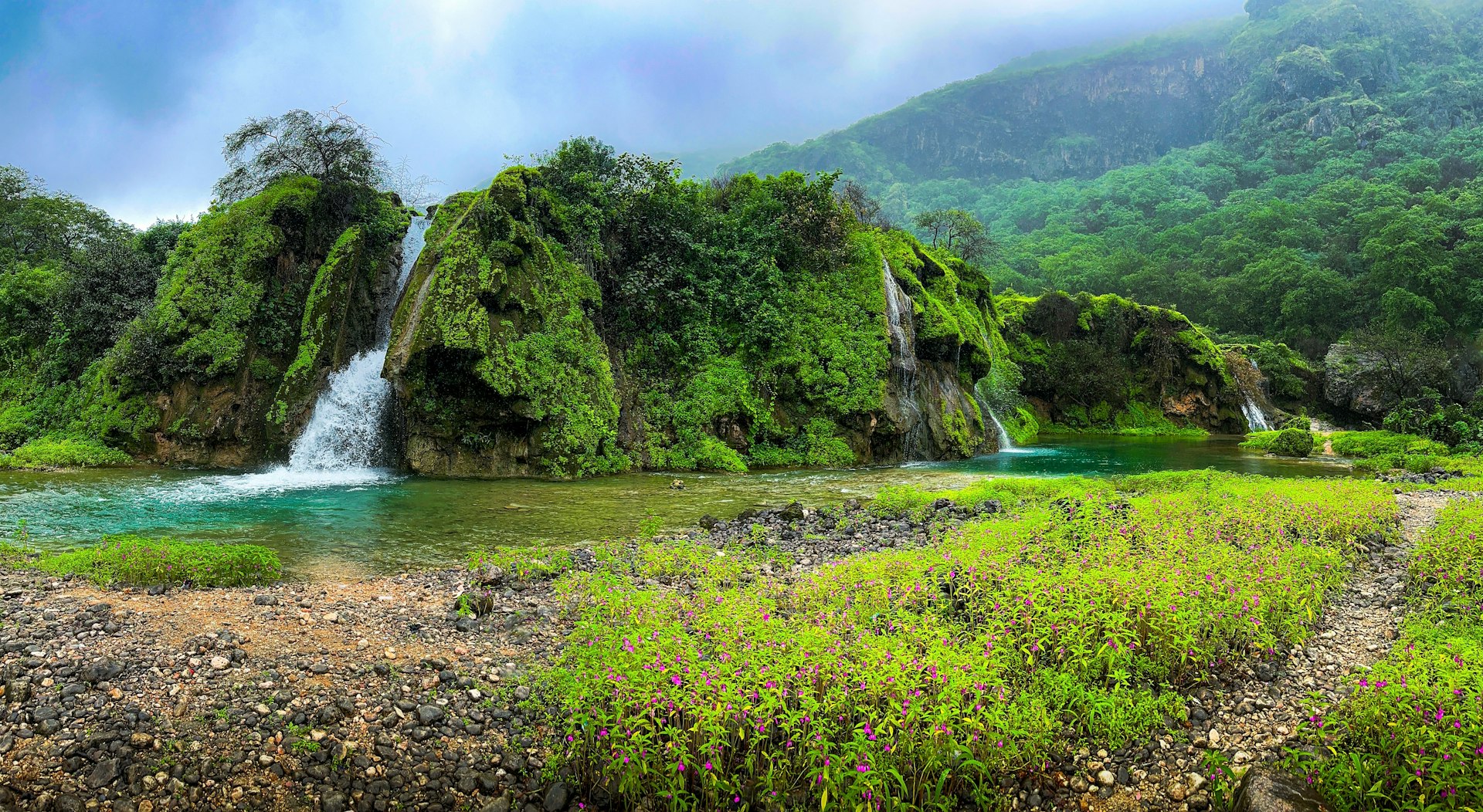 a waterfall in the middle of a lush green forest